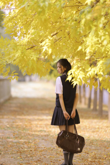 知县梵如花